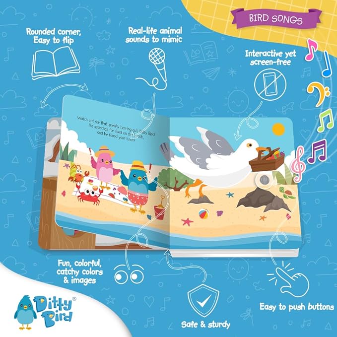 Ditty Bird Animal Sounds Book for Toddlers β Interactive Book Featuring Cuckoo, Blue Tit, Herring Gull, Tawny Owl & Dove Sounds | Musical Board Book for Ages 1-3 | Perfect Educational Gift for Toddler