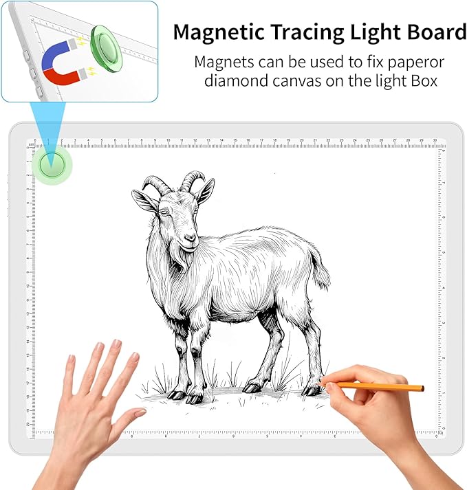 Phylosal Magnetic A4 Light Pad with Bag, Super Bright Light Box with Side Button, Diamond Art Light Board, Lightbox for Tracing and Drawing, USB Power Light Table for Sketching, Weeding Vinyl (White)