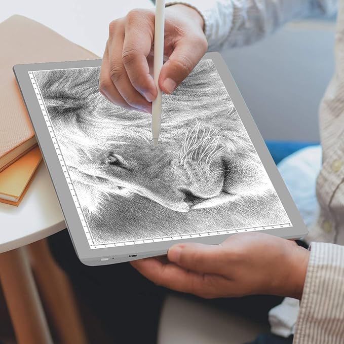 TOHETO Portable A4 Tracing LED Copy Board with Carry Bag, Cordless Battery Powered 5 Levels Brightness Light Box Rechargeable Light Board for Weeding Vinyl X-ray Viewing Diamond Painting (Grey)