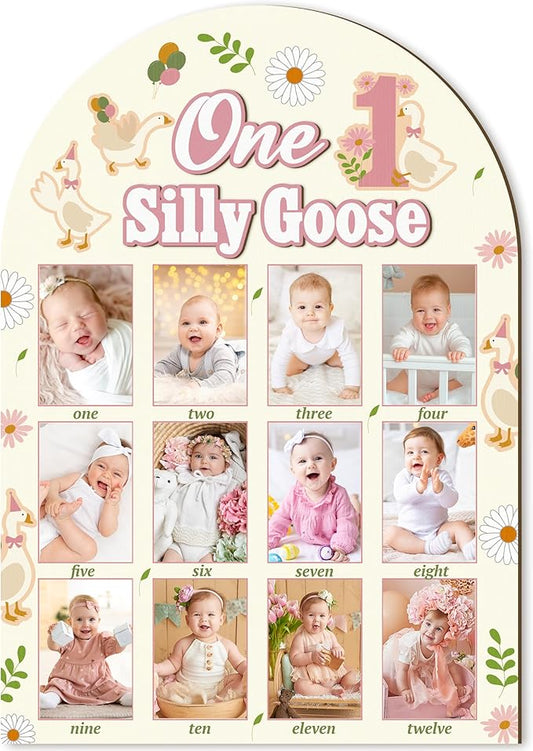 R HORSE My First Year Photo Frame Board, 3D One Silly Goose Birthday Decorations Display Wood Board, Baby First Year Picture Frame 12 Months Milestone 1st Birthday Nursery Decor Gift for Boy Girl