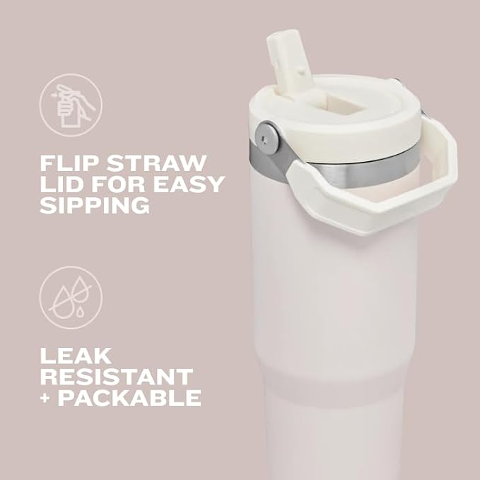 STANLEY IceFlow Flip Straw Tumbler - Image 6