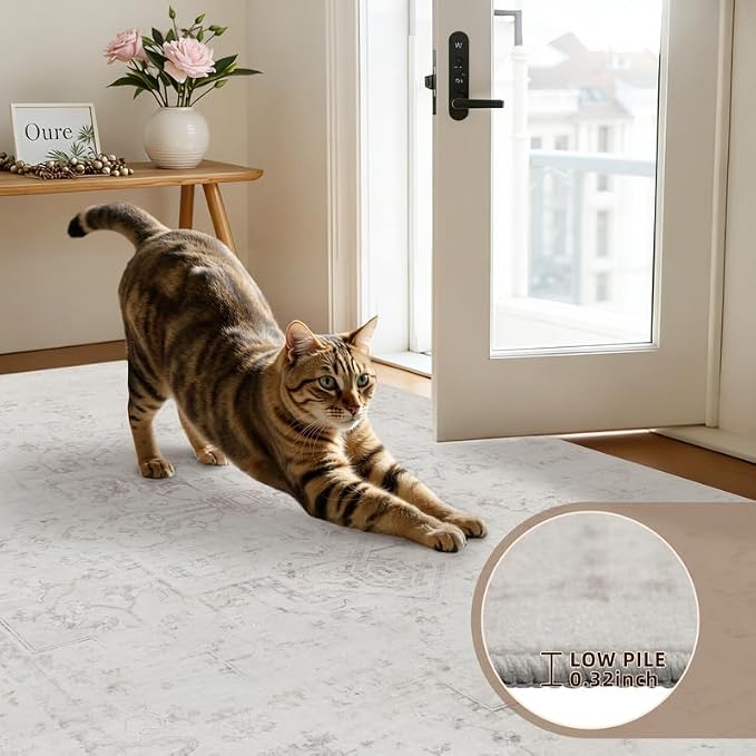 Area Rugs 9x12 Living Room: Vintage Boho Neutral Washable Rug Indoor Soft Large - Image 9