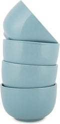 Elanze Designs Bistro Glossy Ceramic 4 inch Cute and Small Dessert Bowls Set of by ElanzeDesigns