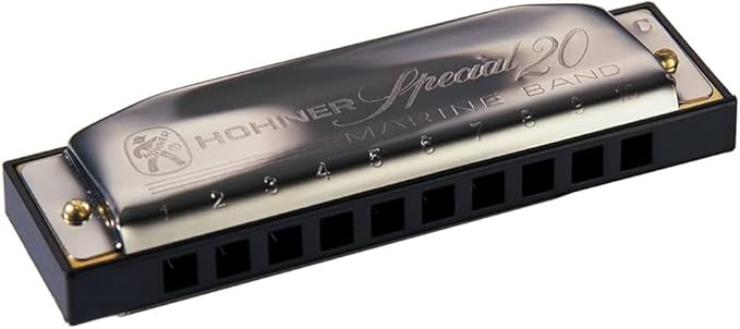Hohner 560 Special 20 Harmonica - Key of F Sharp Bundle with Carrying Case, Key Stickers, Harmonica Beginner Online Manual, and Austin Bazaar Polishing Cloth