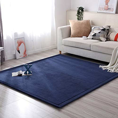 Loartee Coral Velvet Crawling Rugs & Area Rugs (6.0'x 6'8", Dark Blue) for Toddler Play & Yoga Mat