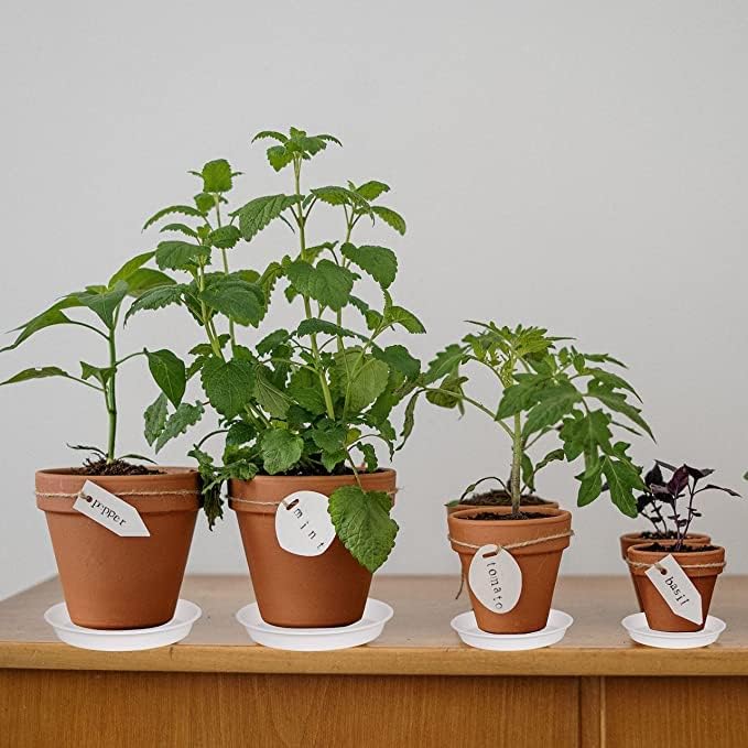 6 Pack of 7 inch Plant Saucer, Heavy Duty Plastic Plant Water Tray 7 inch Round - Image 4
