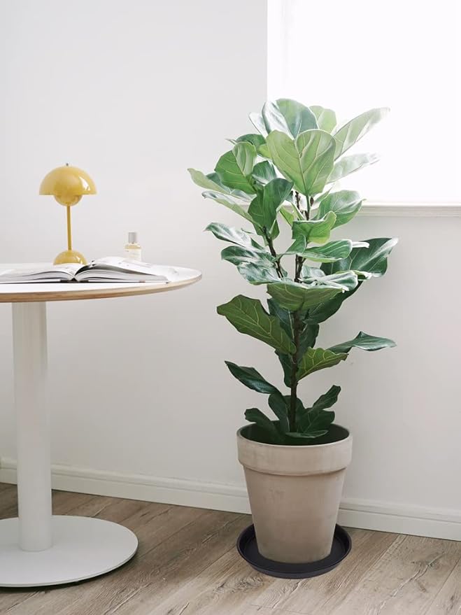 2 Pack of 16 17 inch Plant Saucer, 2.3" Depth, Plant Trays - Image 6