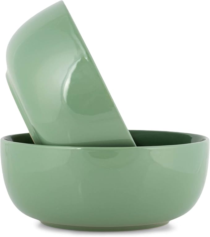 Elanze Designs Bistro Glossy Ceramic 8.5 inch Large Serving Bowls Set of 2 by ElanzeDesigns