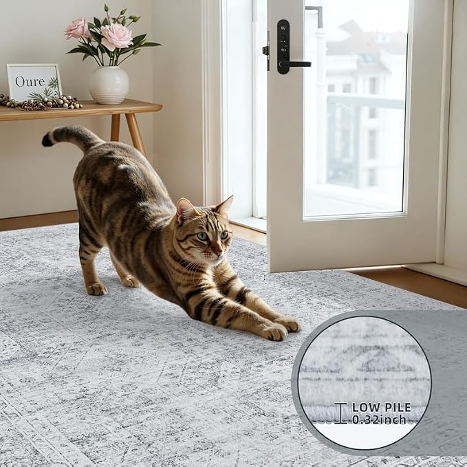 Machine Washable Area Rugs 2x3: Vintage Boho Neutral Washable Rug Indoor Soft - Image 6