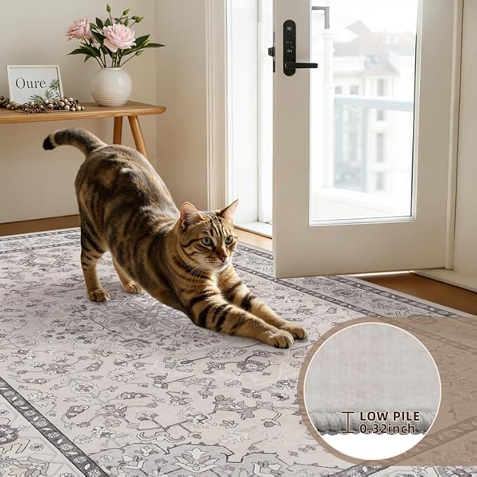 8x10 Area Rugs for Living Room: Vintage Boho Neutral Washable Rug Indoor Soft - Image 9
