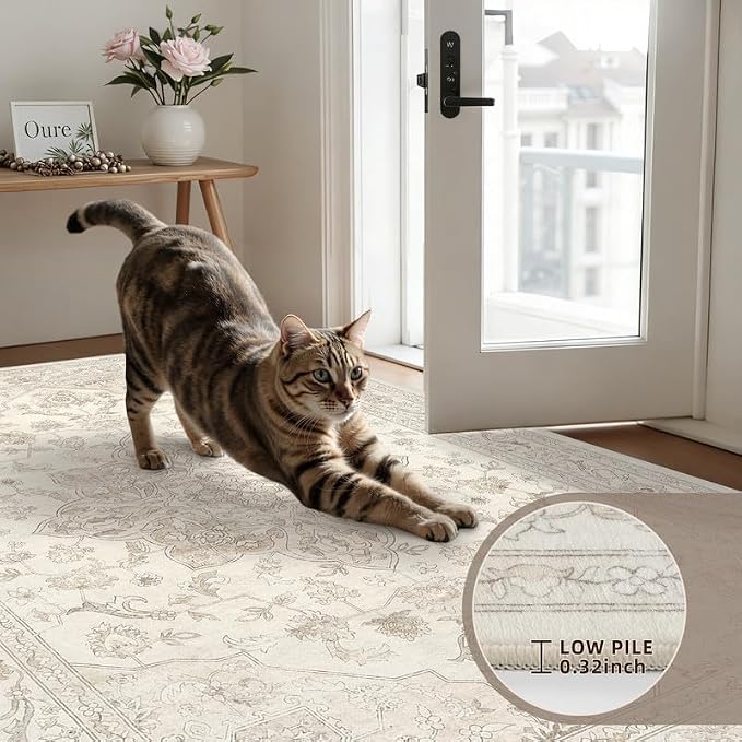 Machine Washable Area Rugs 2x3: Vintage Boho Neutral Washable Rug Indoor Soft - Image 6