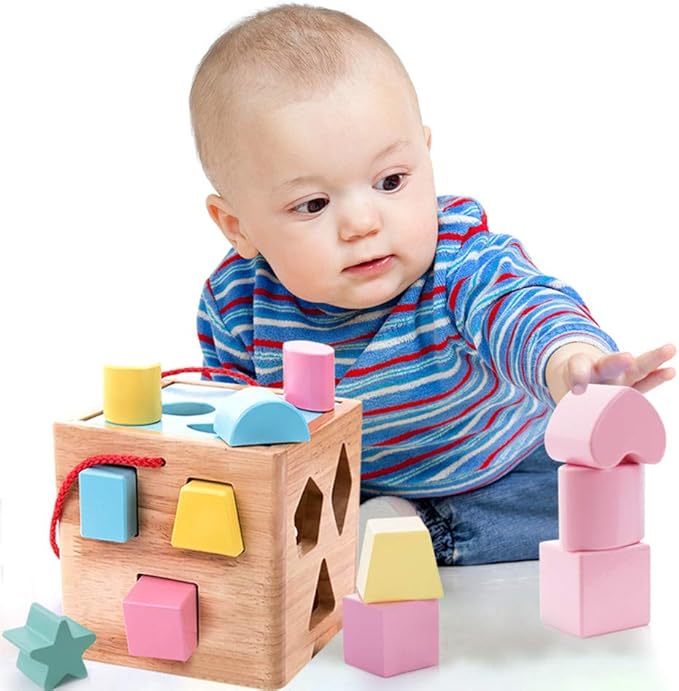 Shape Sorter Toddler Toy Classic Wooden Toy for Baby Boys & Girls Learning Educational Color Sorting Cube Toys for Kids