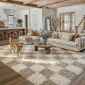 PureCozy Modern Rug 5x8 for Living Room by PureCozy