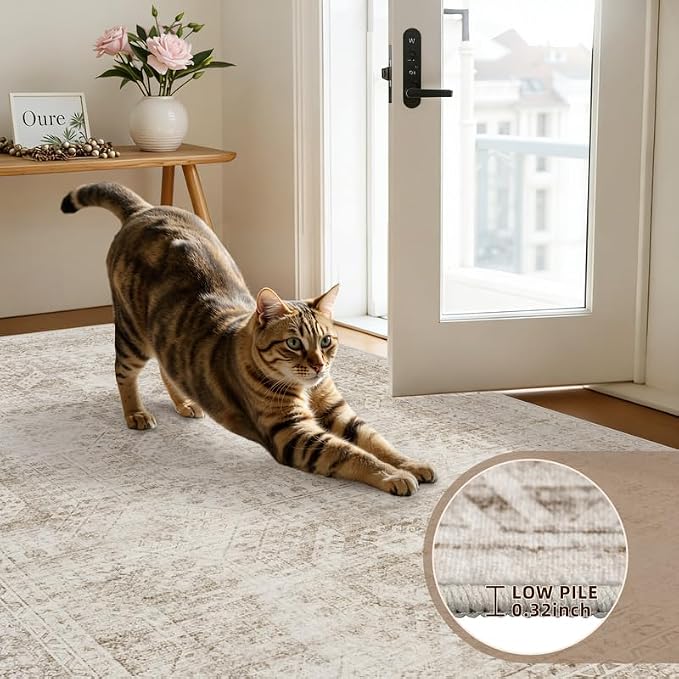 5x7 Area Rugs for Living Room: Vintage Boho Neutral Washable Rug Indoor Soft - Image 7