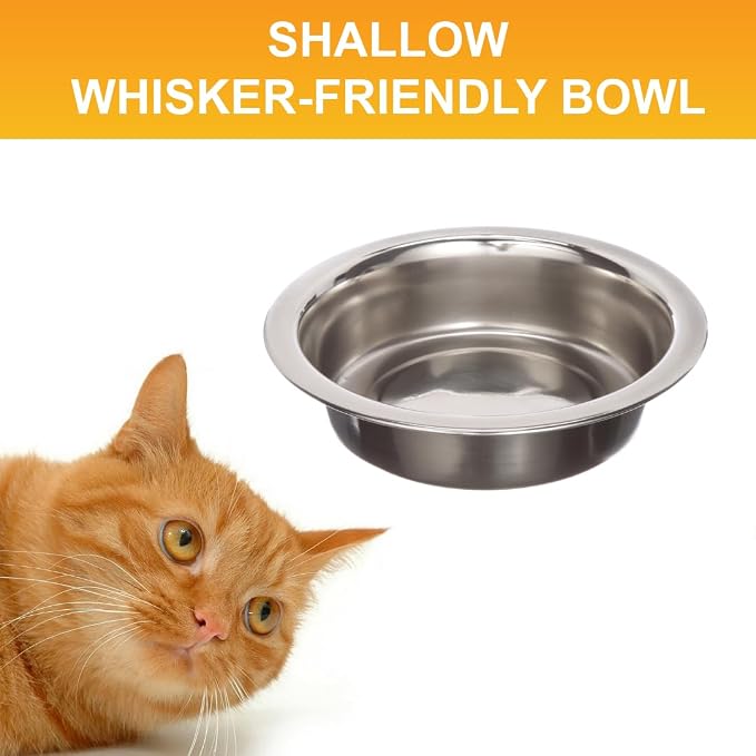 Neater Pet Brands 1 Cup Shallow Stainless Steel Cat Bowls, 1 Single Neater - Image 6