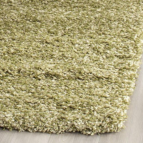SAFAVIEH Area Rug 4x6 - Image 4