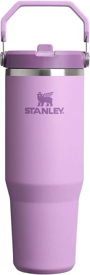 STANLEY IceFlow 2.0 Flip Straw Tumbler, 30 oz, Lilac | Easy Carry Handle | by Unknown