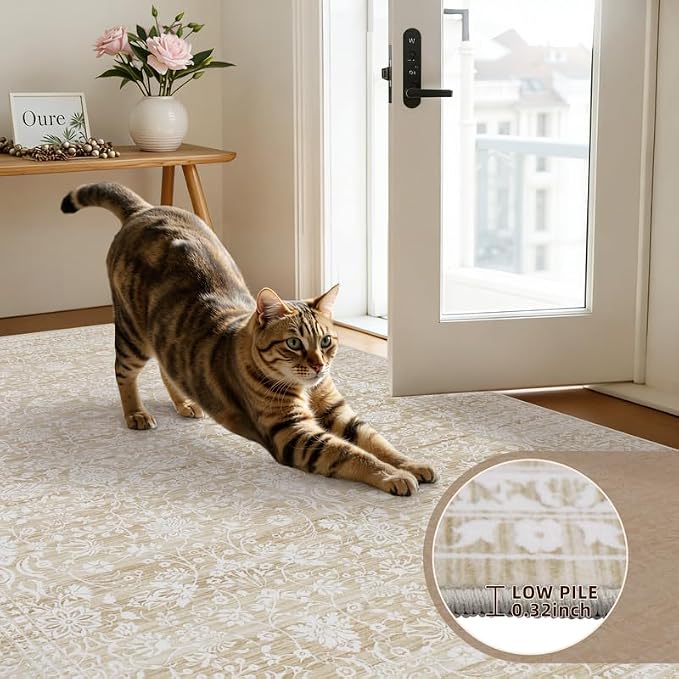 Area Rugs 9x12 Living Room: Vintage Boho Neutral Washable Rug Indoor Soft Large - Image 9