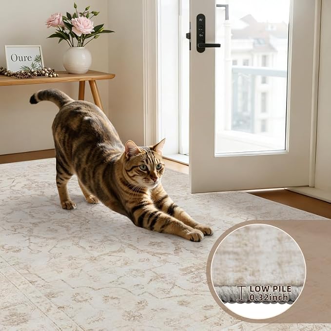 5x7 Area Rugs for Living Room: Vintage Boho Neutral Washable Rug Indoor Soft - Image 7