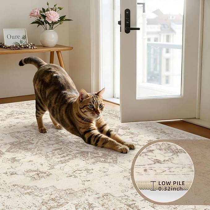 Round Area Rug for Living Room: 6ft Vintage Boho Neutral Washable Circle Rug - Image 6