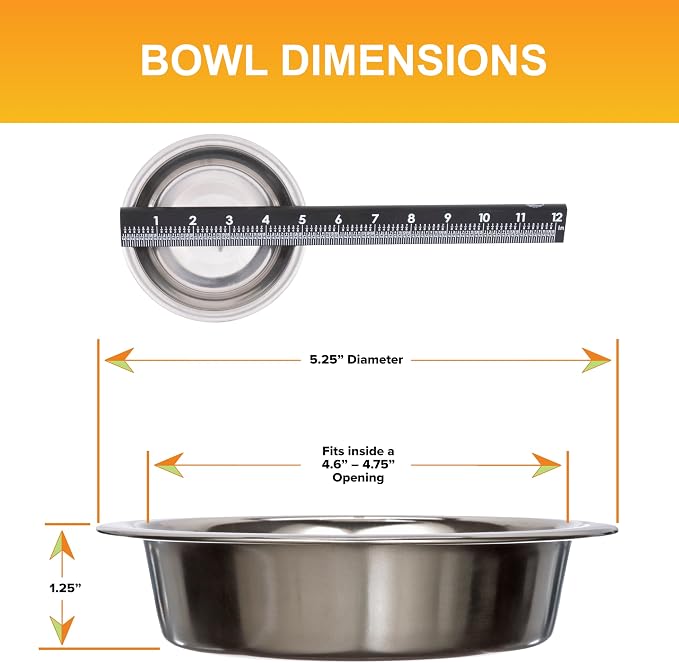 Neater Pet Brands 1.5 Cup Shallow Stainless Steel Cat Bowls, Metal Cat Dishes - Image 3