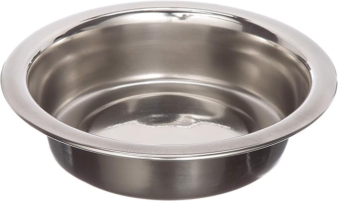 Neater Pet Brands 1 Cup Shallow Stainless Steel Cat Bowls, 1 Single Neater by NeaterPetBrands