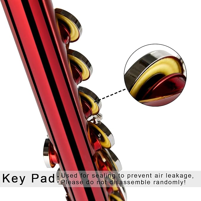 EastRock Closed Hole Flutes C 16 Key for Beginner, Kids, Student -Nickel Flute with Case Stand and Cleaning kit (Red)