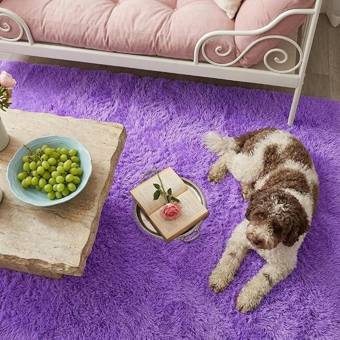Mugorn 2x3 Rugs for Bedroom, Fluffy Area Rugs for Living Room, Soft Shag Kids - Image 8