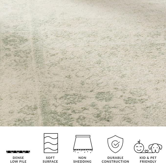 SAFAVIEH Adirondack Collection Area Rug - Image 5