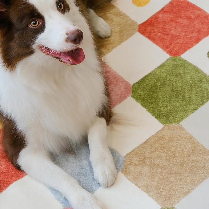 jinchan Macy 5x7 Area Rug for Kids Room Modern Colorful Nursery Rug Checkered - Image 5