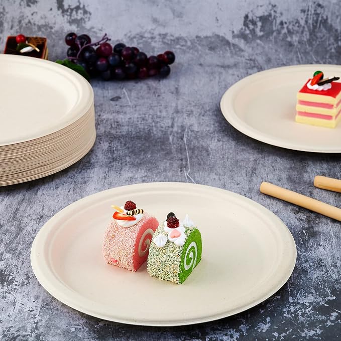 Vplus 500 Pack Compostable Bagasse Paper Plates 10.25 inch, Nature | Super - Image 2