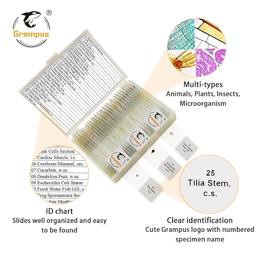 30 Prepared Microscope Slides with Specimens for Kids Students - Animals Plants Insects Microorganism, for Biological Science Lab, Children's Science Education, Homeschool