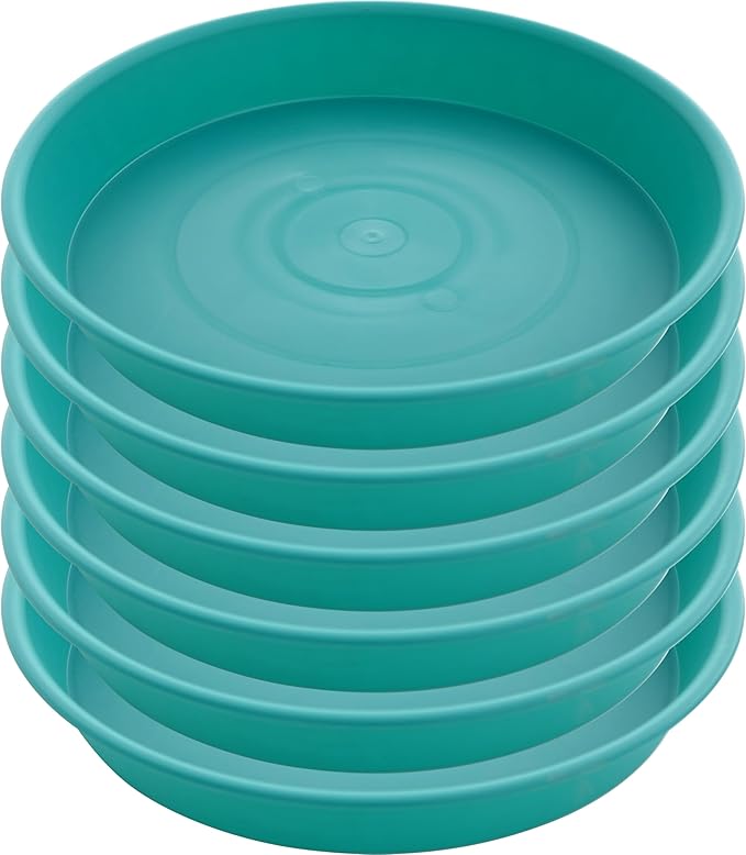 6 Pack of 6 inch Plant Saucer Drainage Tray, 4 5 7 8 10 12 13 15 17 19 inch by Bleuhome