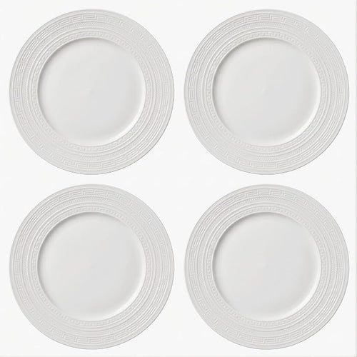 10 Inch Porcelain Dinner Plates Set of 4, Dishwasher safe, Microwave safe by Unknown