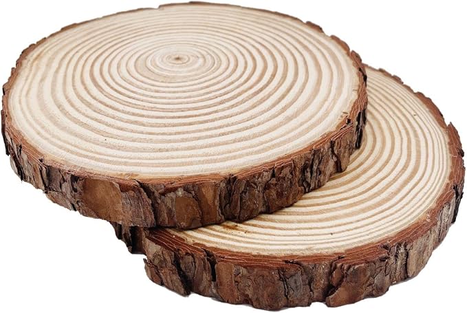 Natural Round Discs Rustic Wood Slices 4 PCS 9-10 inch Unfinished Wood kit - Image 3