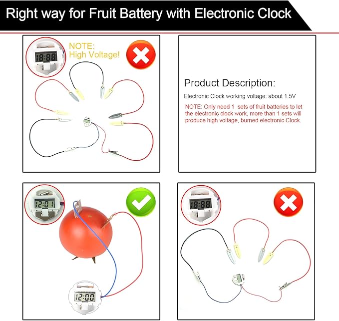 EUDAX Fruit Battery Science Experiment Kit for DIY School Home Teaching Equipment, Orange Lemon Potato Electronic Clock Science Project Kit Physics Educational for Students Teachers (4 Set)