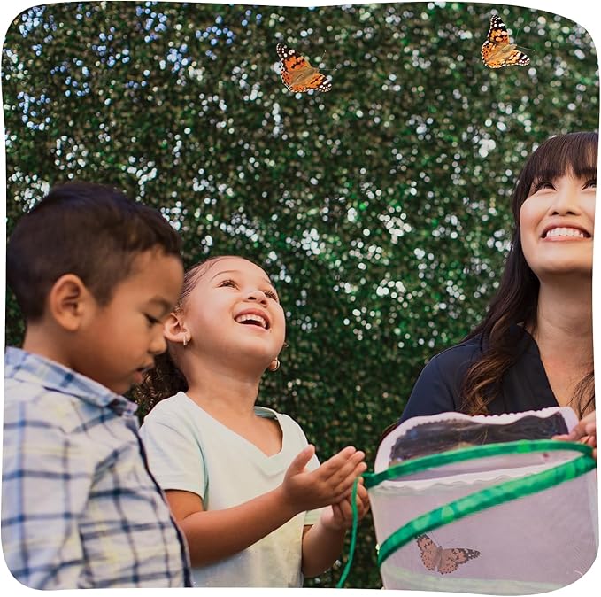 Insect Lore Butterfly Garden - 8" Habitat with 5 Live Baby Caterpillars - Includes Life Cycle Figurines, Stickers, Wind up, Mini Habitat | Birthday or Teacher Gift Set