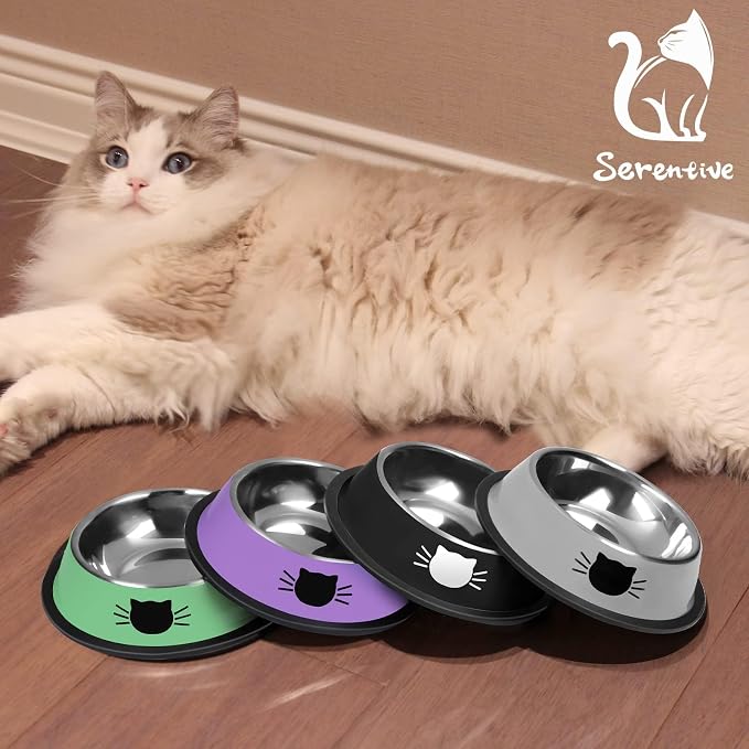 Serentive 2 Pcs Non-Slip Stainless Steel Small Food Bowls - Image 7