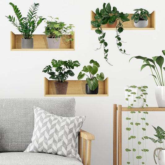 Green Plant Wall Decals 3D Bonsai Tropical Plant Wall Sticker Creative Vinyl Peel and Stick Removable Wall Art Decor for Living Room Bedroom Home Office (Tropical Plant 01)