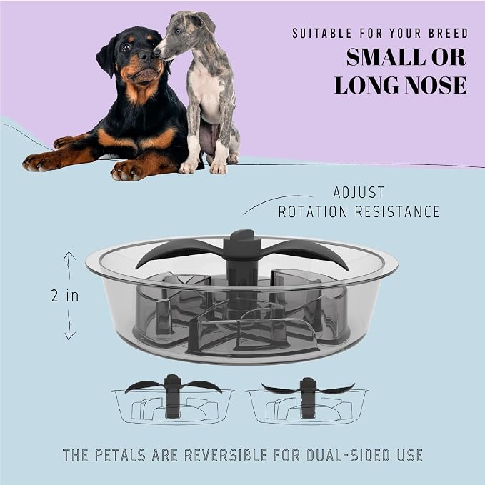 AVERYDAY Slow Feeder Dog Bowls for Medium Breed, 1.5 Cups Deep Food Puzzle Bowl - Image 4