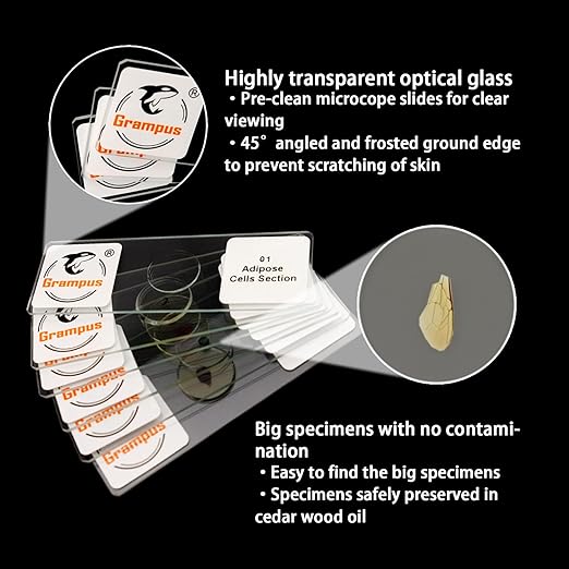 30 Prepared Microscope Slides with Specimens for Kids Students - Histology, for Biological Science Lab, Children's Science Education, Homeschooling Use