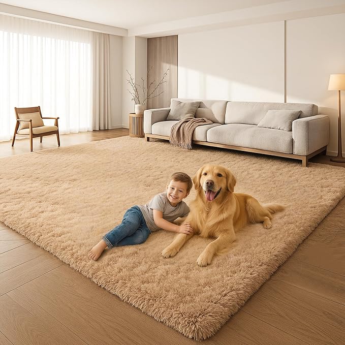 6x9 Rugs for Living Room, Rugs for Bedroom, Plush Fluffy Carpet, Non-Slip by Mtandyx