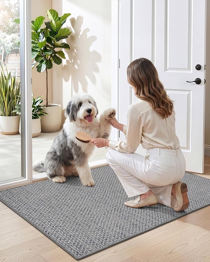 DEXI Ultra Thin Door Mat Indoor Entrance 32x48, Non Slip Rubber Backed Entryway - Image 9