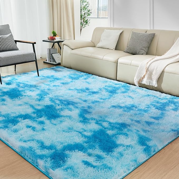 Ultra Soft Rug for Living Room, 4X6 Fluffy Shag Area Rug for Bedroom, Modern by Fairblink