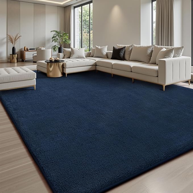 Sour Lemon 6x9 Area Rugs for Living Room, Soft Large Area Rug Fluffy Rugs for by SourLemon