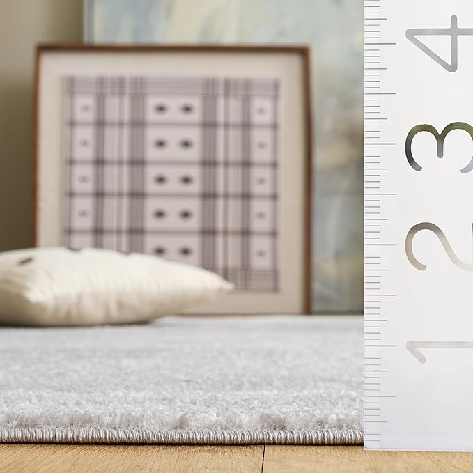SAFAVIEH Accent Rug 3x5 - Image 5
