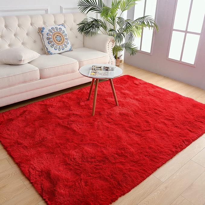 Chicrug Soft Area Rugs for Bedroom Living Room Plush Fluffy Rug 4x6 Feet by ChicrugHomeDecor