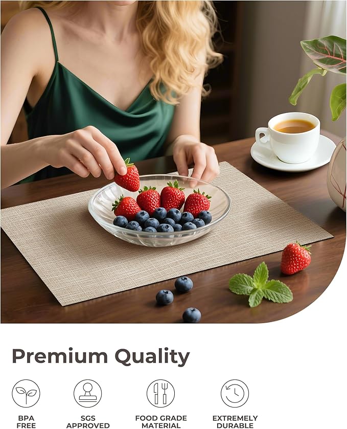 Leetaltree Beige Placemats Set of 12 - Image 6