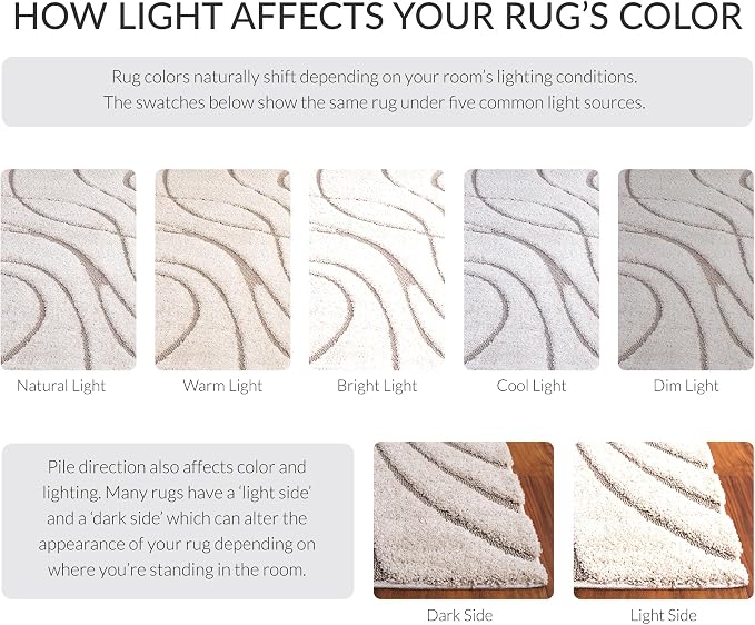 SAFAVIEH Florida Shag Collection Area Rug - Image 8