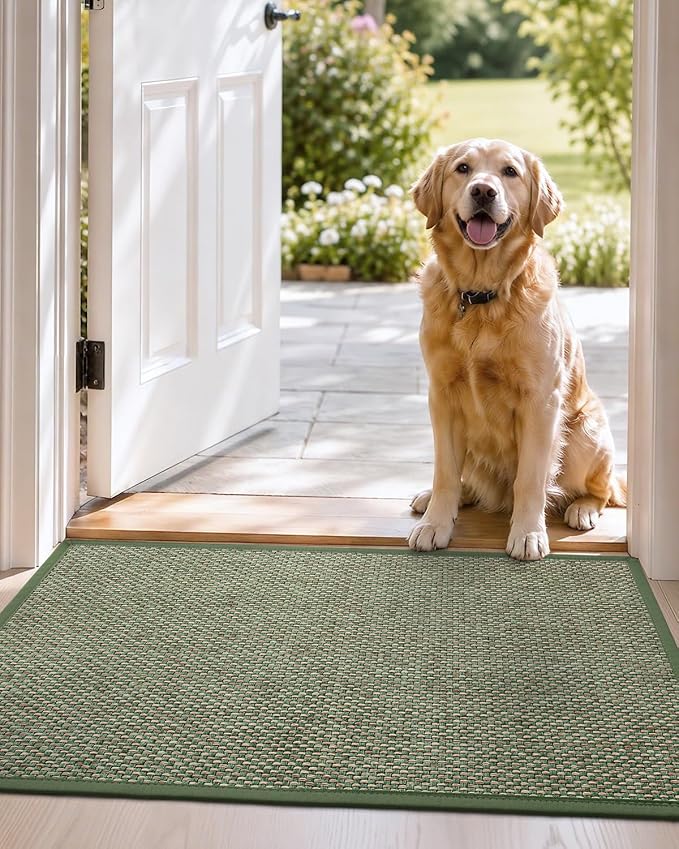 DEXI Ultra Thin Entryway Indoor Door Mat 17x30, Non Slip Rubber Backing Inside - Image 9